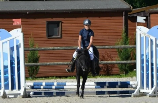 Introduction to horse riding with a small jump 