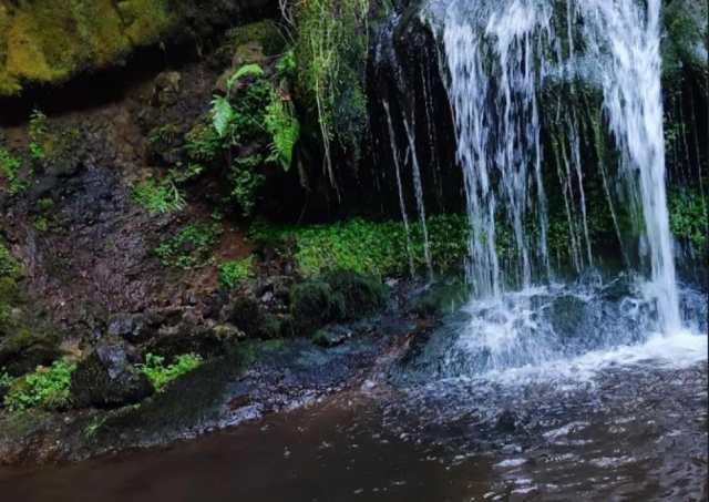  Wasserfall im Canyon 