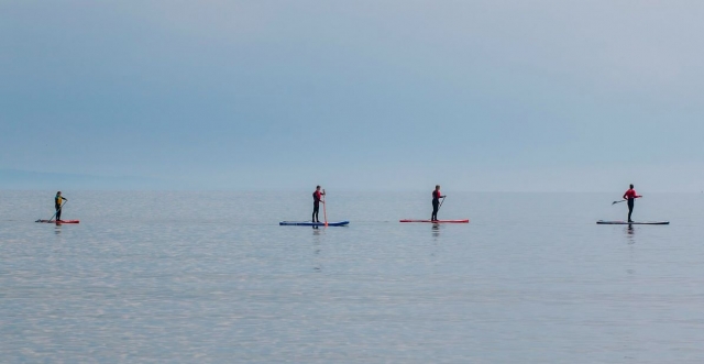  Go on an adventure with family or friends thanks to our paddle rental 