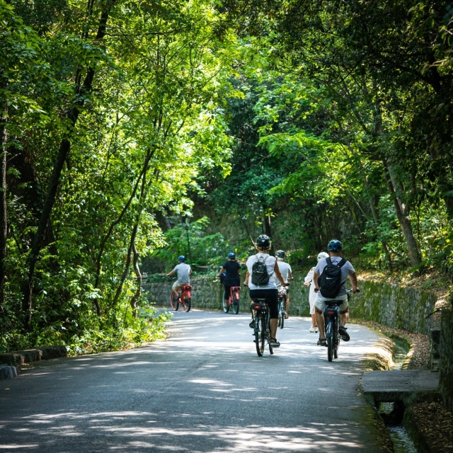 Discovery of the green spaces of Île Rousse thanks to a mountain bike ride 