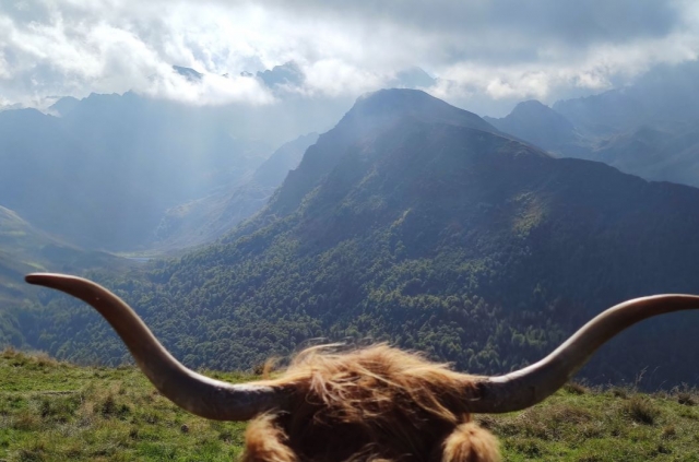  Extraordinary panoramic view in the Hautes -Pyrénées 