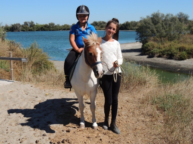 Scoperta della palude e degli animali che ospita 