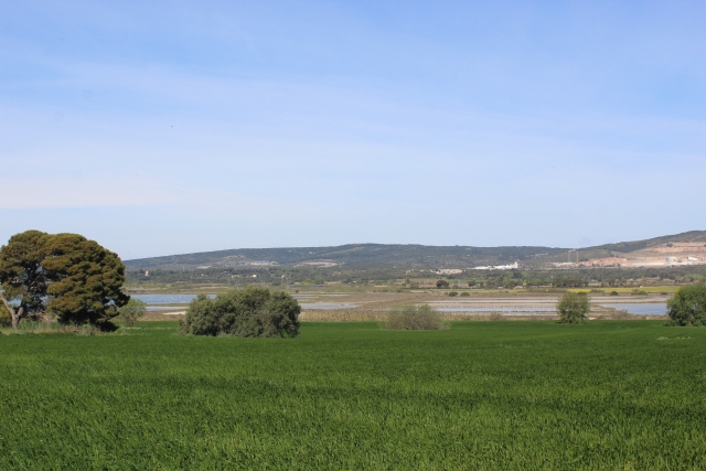 Promenade de 2h30 à cheval
