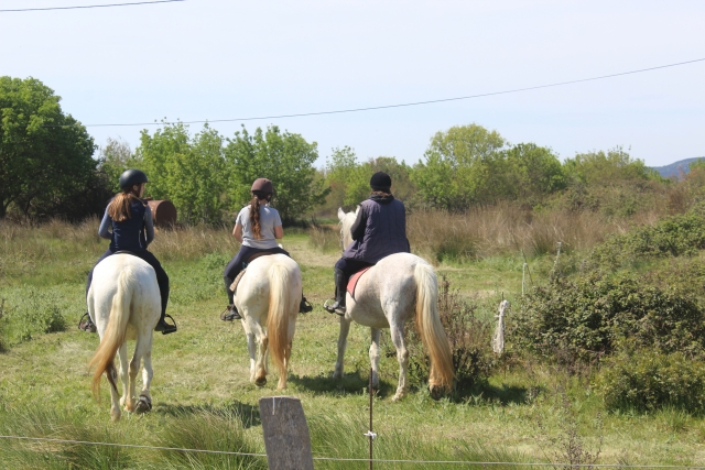  Fare una passeggiata a cavallo