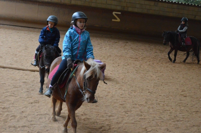 Entdeckung der Ponys 
