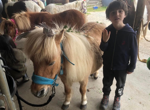  La strigliatura del pony, un momento importante per creare legami 