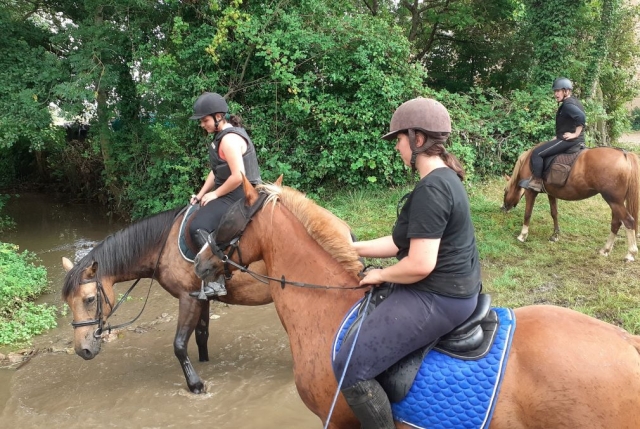 Horseback riding in Orliénas 