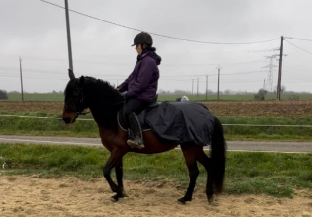  Discover an extraordinary sport with our horseback riding 