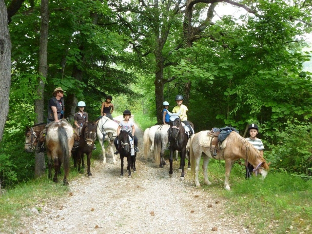 Un paseo a caballo por el campo para un momento de relajación 