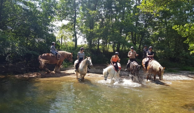  Cruzar lagos a caballo en esta salida desde el común 