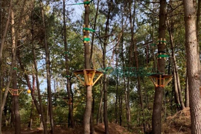  Baumwipfelkurs für ein sportliches Outdoor-Abenteuer 