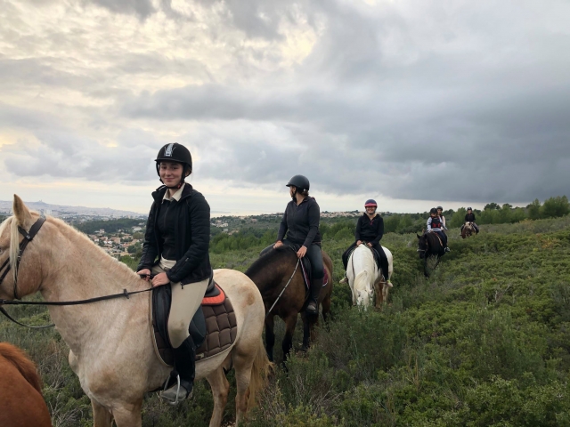 Paseos a caballo por un día 