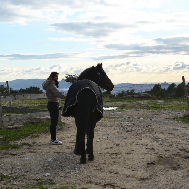  Preparación para el paseo a caballo 