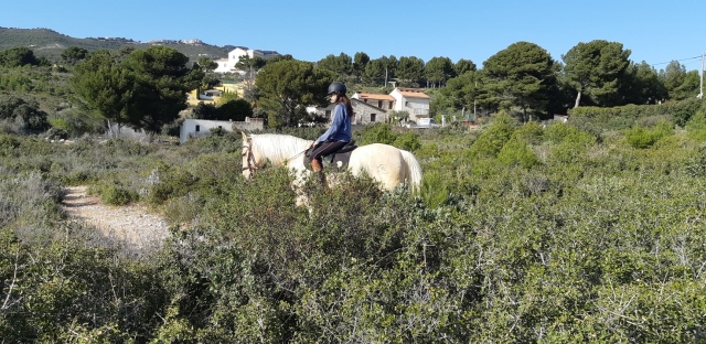  Inmersión en la naturaleza de Les Bouches-du-Rhône