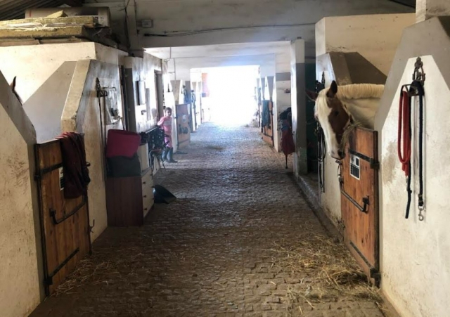  Nuestro centro ecuestre en Essonne.