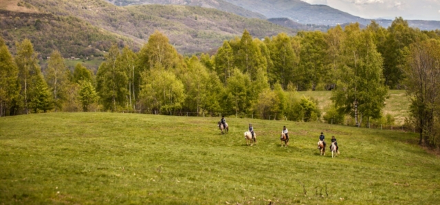  Descubra os prados durante o nosso passeio a cavalo! 