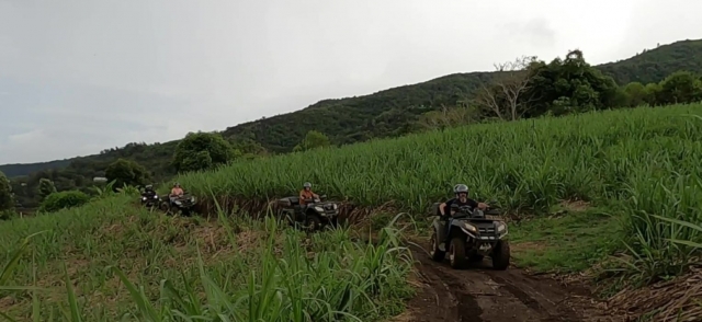 Entdecken Sie einzigartige exotische Landschaften während einer Quad-Tour 