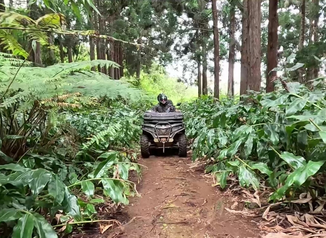  乘坐四人车游览圣保罗 