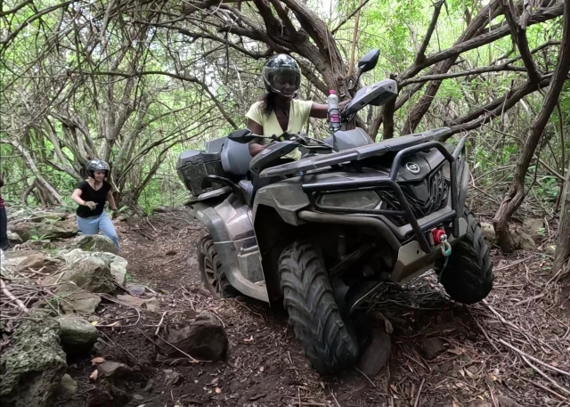  预订您在留尼汪岛的四人车之旅 