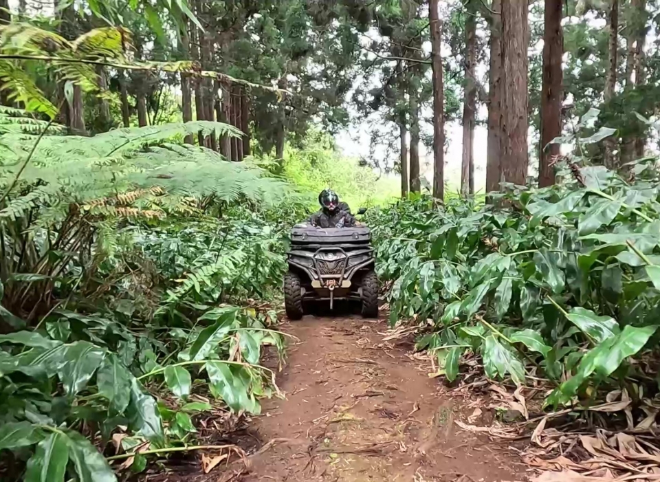  乘坐四人车游览圣保罗 