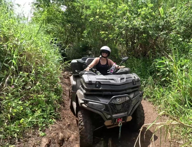  穿过圣保罗附近的甘蔗田 