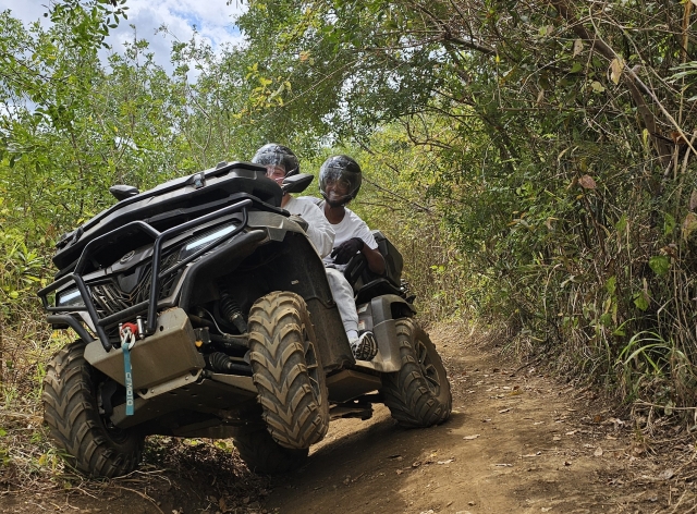  甘蔗田里的小径 