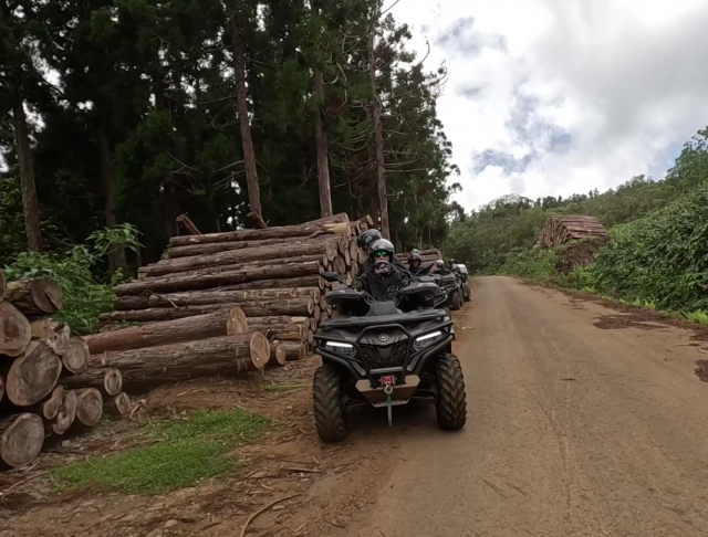  2024 年 3 月 17 日开始四轮越野车徒步旅行 (24) 