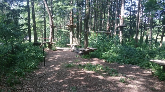 Rendez-vous dans la forêt de Jaujac