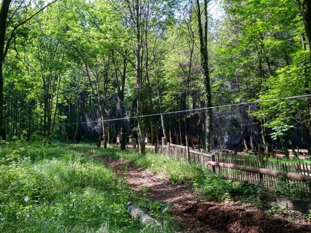 Une immersion en pleine nature qui fera du bien