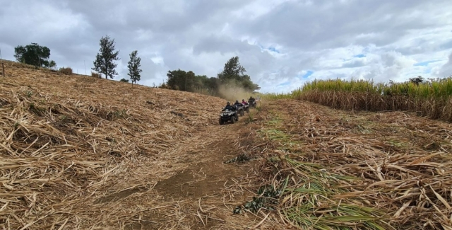  Machen Sie eine Quad-Expedition mit einem professionellen Instruktor ein Quad 