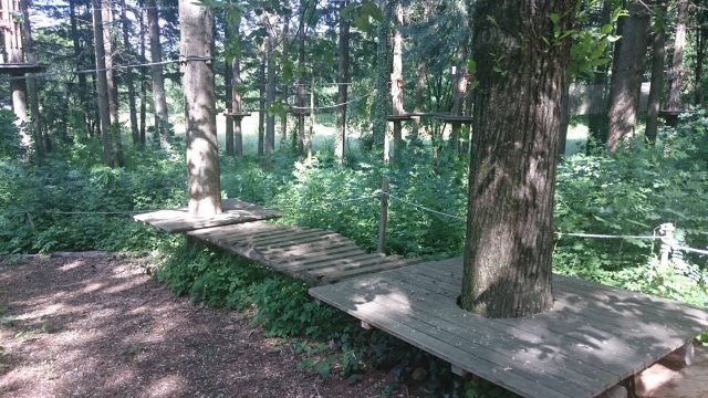  Una boccata d'aria fresca nella foresta di Jaujac 