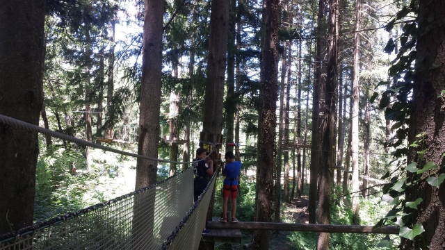  Spingi i tuoi limiti tra gli alberi 