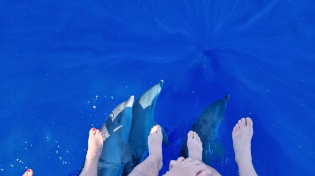 In buona compagnia ! 