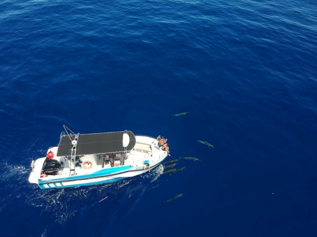  Un'attività favolosa sulla costa della Riunione 