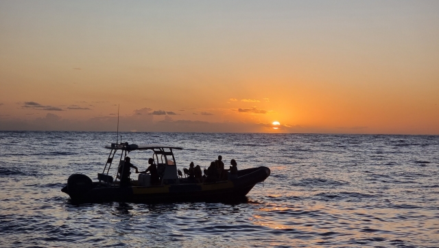  Walbeobachtung bei Sonnenuntergang 