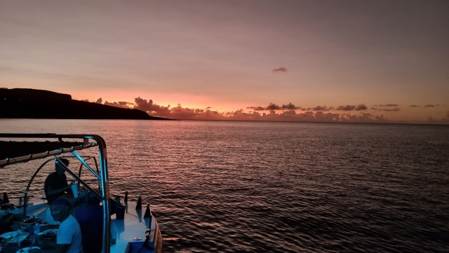  Paseo en barco para observar cetáceos al atardecer 