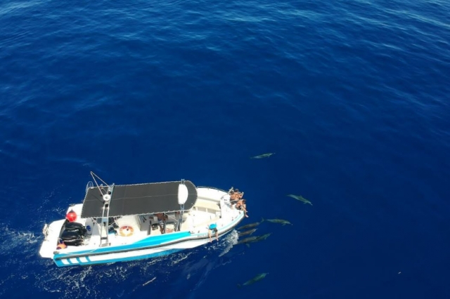  Esplora l'Oceano Indiano con la nostra sessione di scoperta