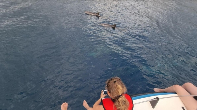  Ti offriamo l'opportunità di scoprire la fauna selvatica dell'Oceano Indiano 