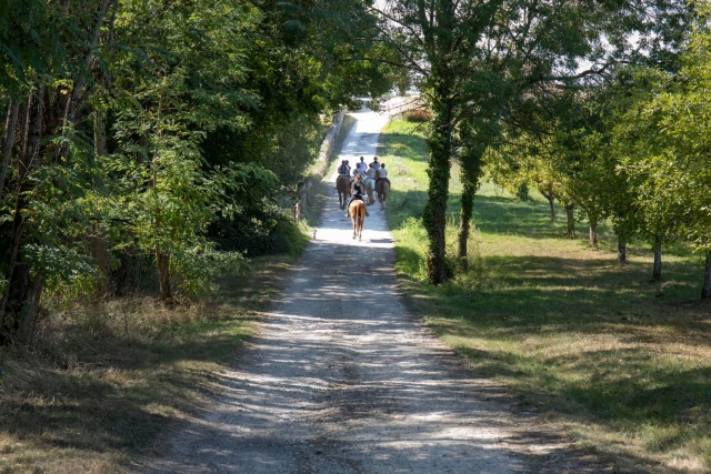  Treffpunkt in Berson