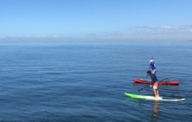  Sessione di paddle surf con un istruttore certificato dallo stato 