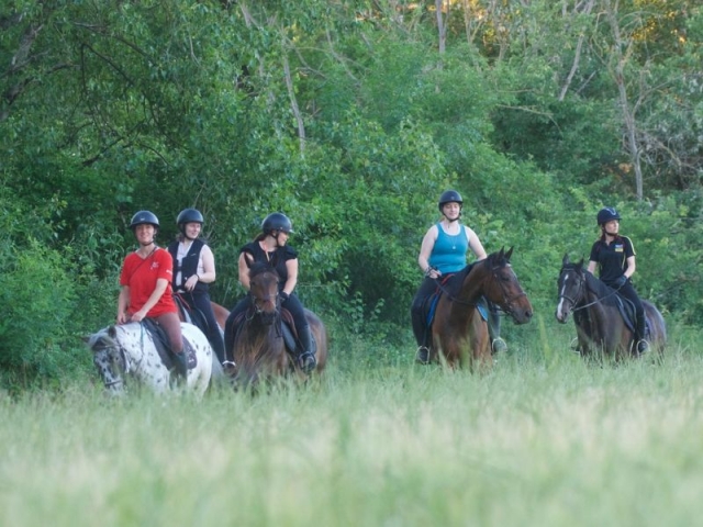 Sensazione di libertà sul tuo cavallo 