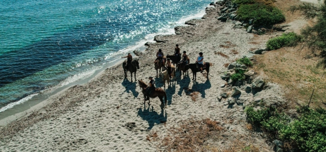  Paseos a caballo en Fiume d'Olmo 