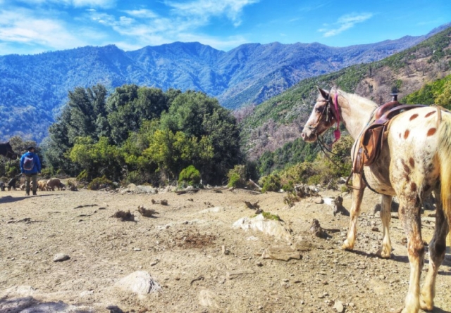  Puedes hacer una pausa durante tu caminata para disfrutar de los panoramas 