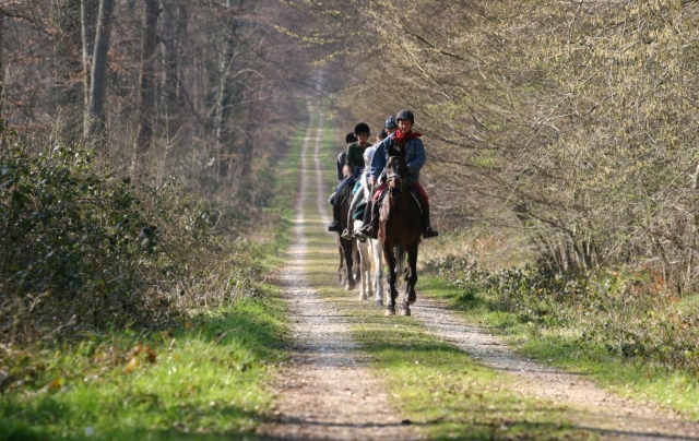  Horseback riding in Marines 