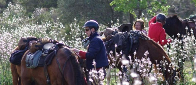 Pause durant notre randonnée à cheval pour profitez du paysage corse