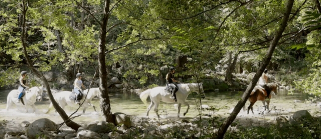 Traversez la rivière à cheval 
