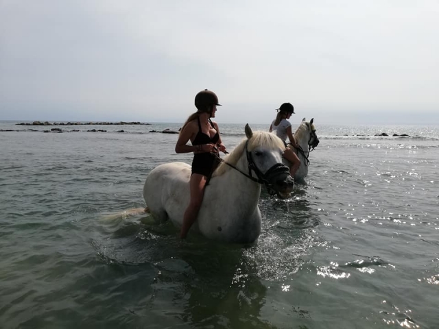 海边骑马 