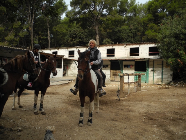 Quelques instants avant la balade équestre autour de Marseille
