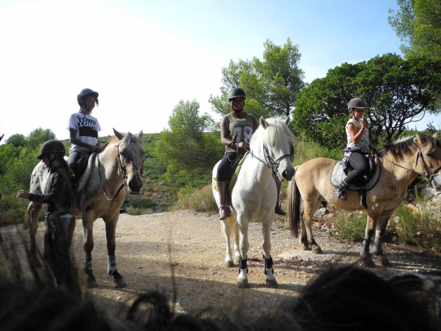 Balade à cheval autour de Marseille