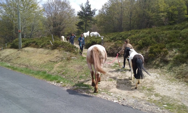 Le départ de la promenade dans le pic de l'Etoile
